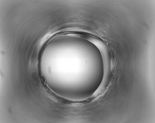 X0000091340150200708101450