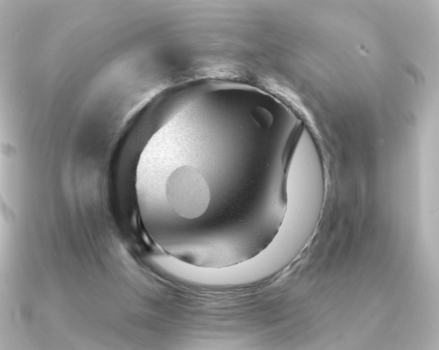 X0000091340154200708101450