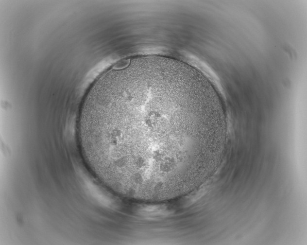 X0000091340155200708101450