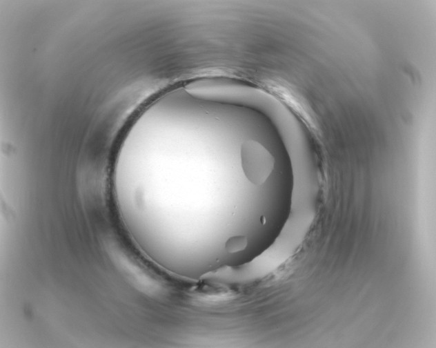X0000091340156200708101450