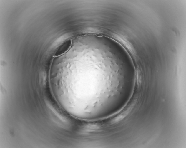 X0000091340157200708101450