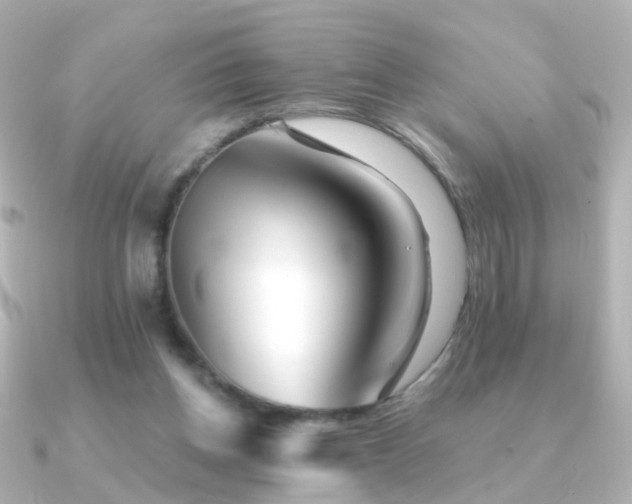 X0000091340158200708101450