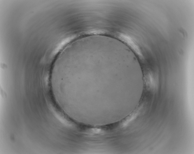 X0000091340159200708101450