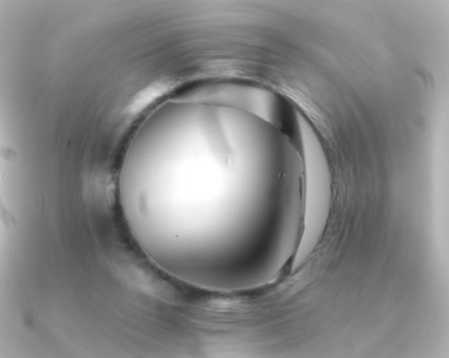 X0000091340160200708101450