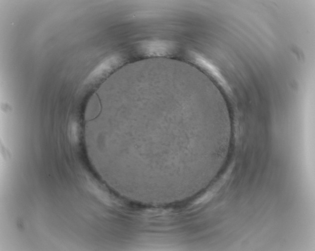X0000091340161200708101450