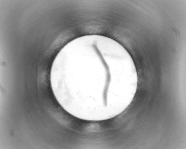 X0000091340162200708101450