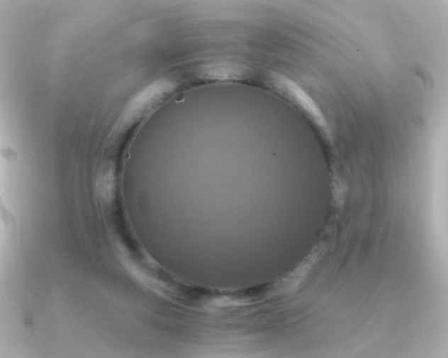 X0000091340163200708101450