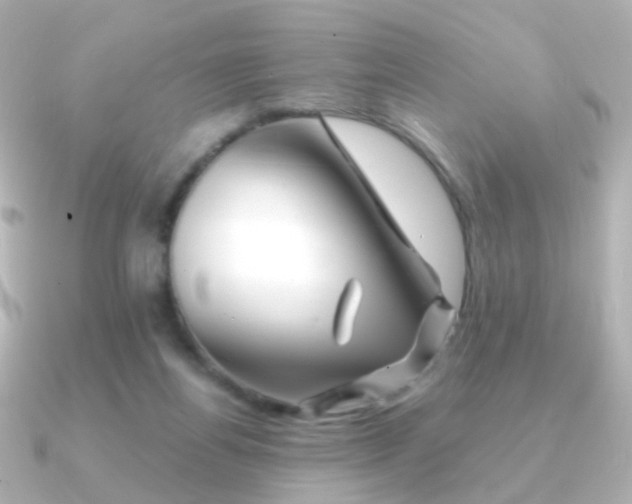 X0000091340164200708101450