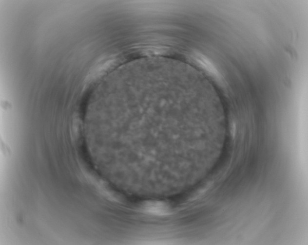 X0000091340169200708101450