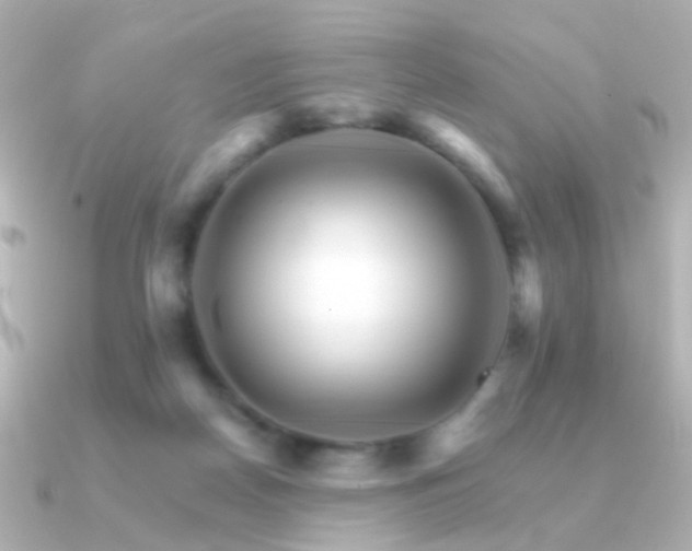 X0000091340170200708101450