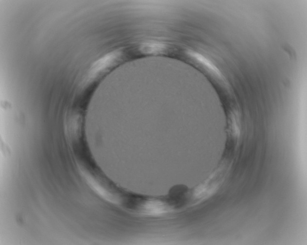 X0000091340171200708101450