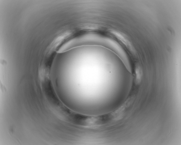 X0000091340172200708101450