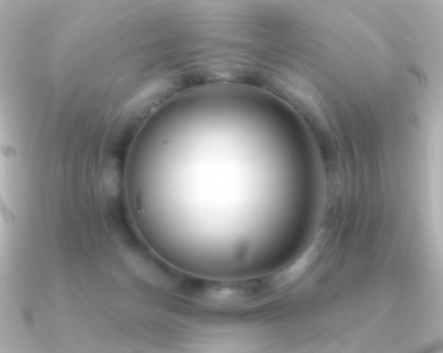 X0000091340174200708101450