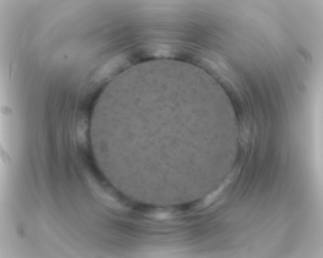 X0000091340175200708101450