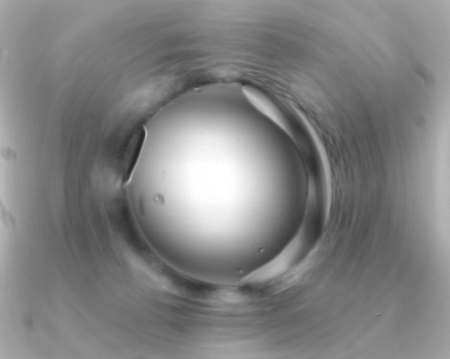 X0000091340176200708101450