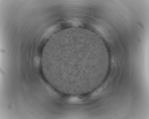X0000091340177200708101450