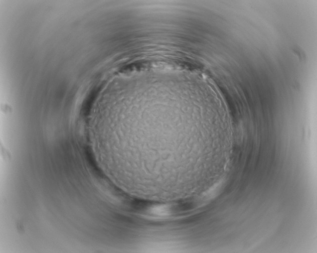 X0000091340178200708101450