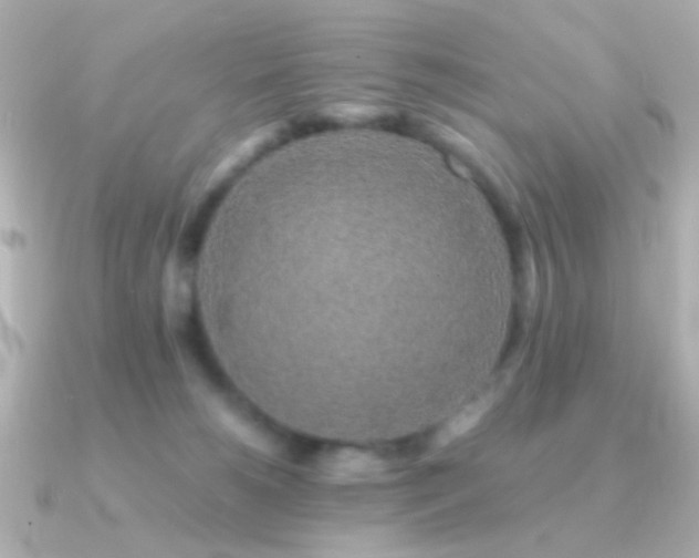 X0000091340180200708101450