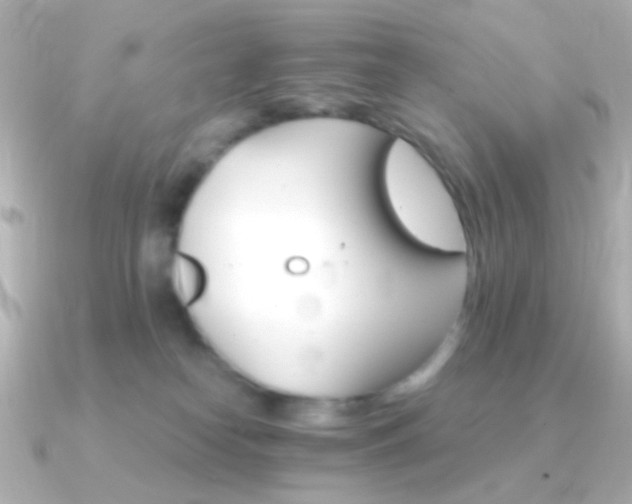 X0000091340182200708101450