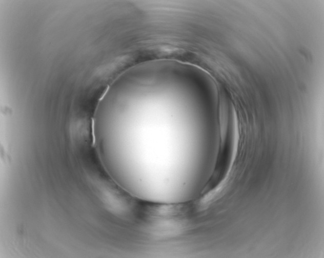 X0000091340184200708101450
