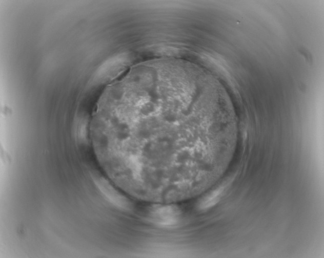X0000091340185200708101450
