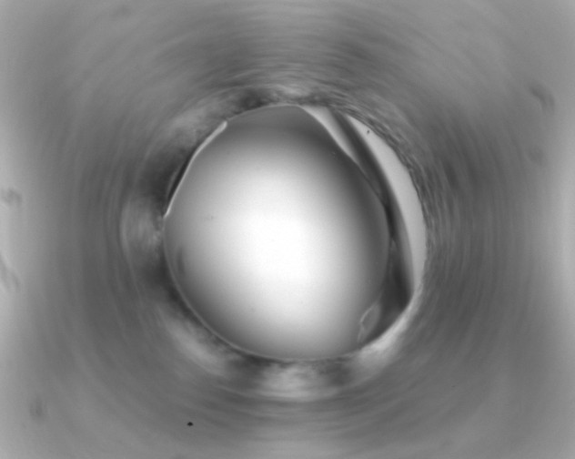 X0000091340186200708101450