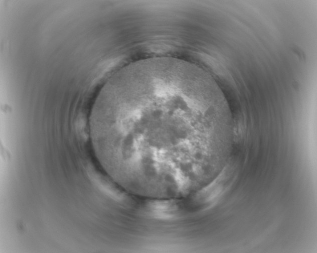 X0000091340187200708101450