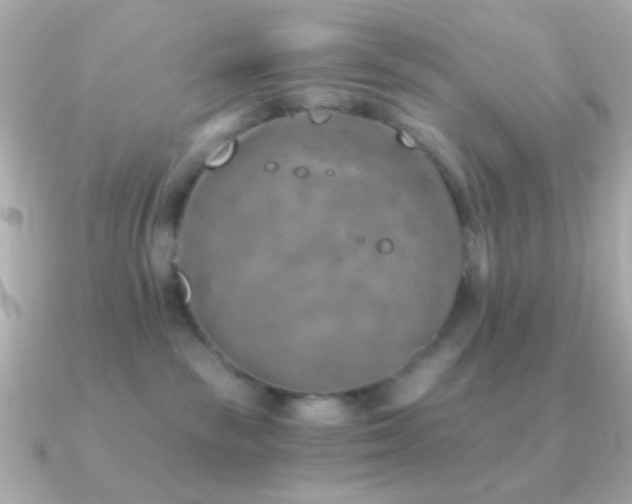 X0000091340189200708101450