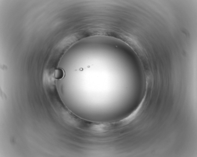 X0000091340190200708101450