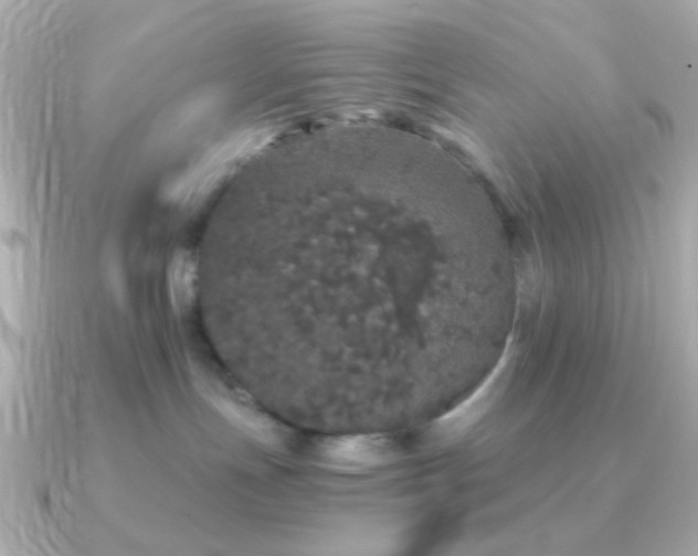 X0000091340191200708101450