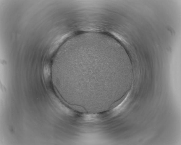 X0000091340192200708101450