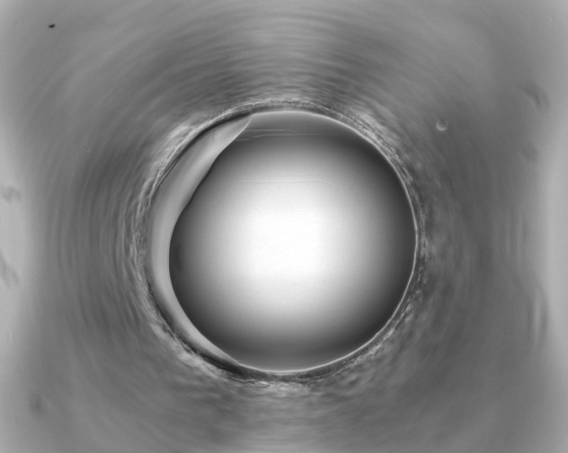 X0000091340193200708101449