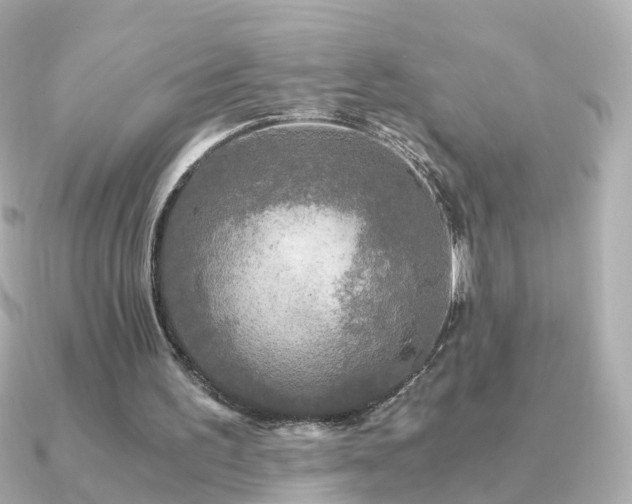 X0000091340195200708101449