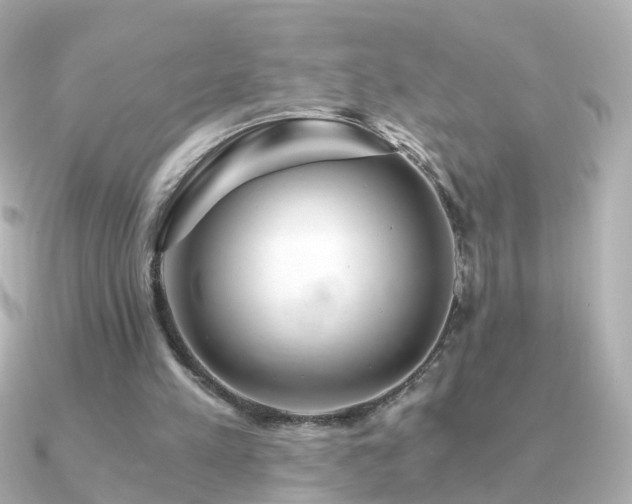 X0000091340197200708101449