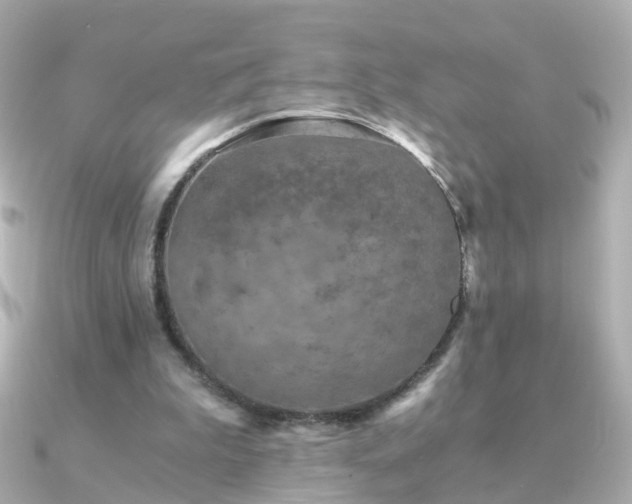 X0000091340199200708101449