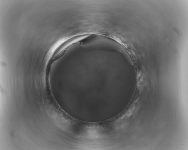 X0000091340200200708101449