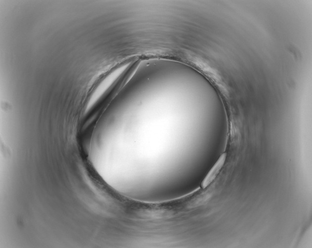 X0000091340201200708101449