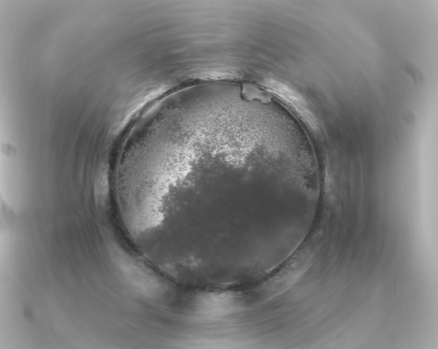 X0000091340202200708101449