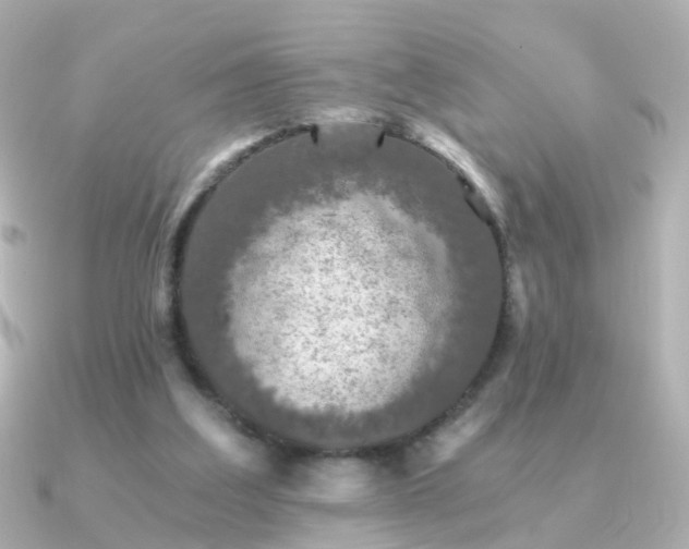 X0000091340203200708101449