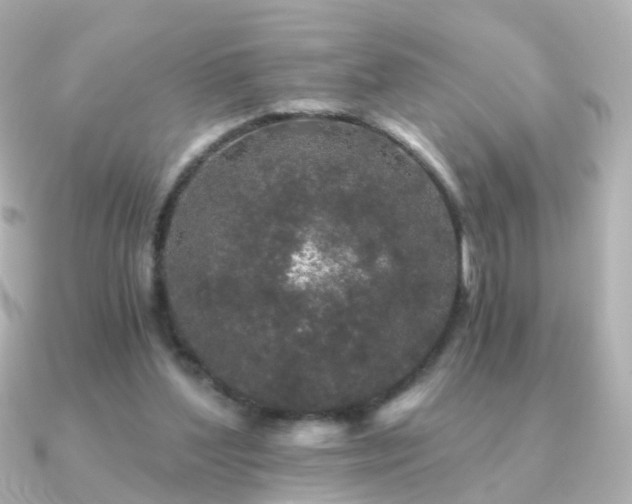 X0000091340204200708101449
