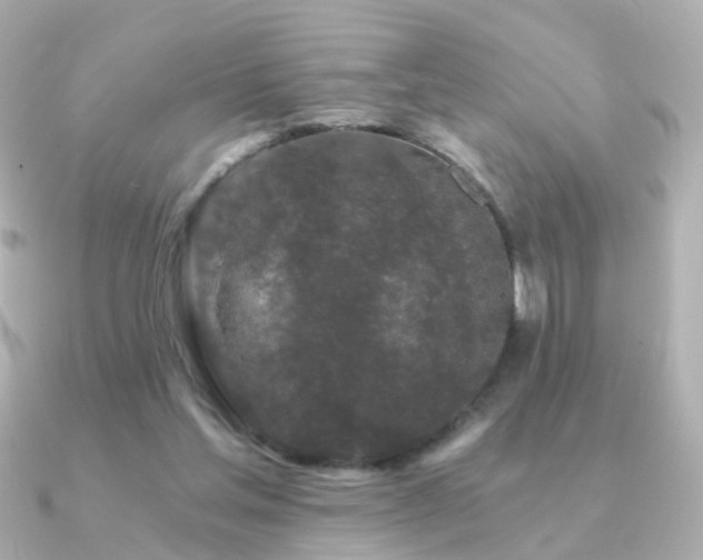 X0000091340205200708101449