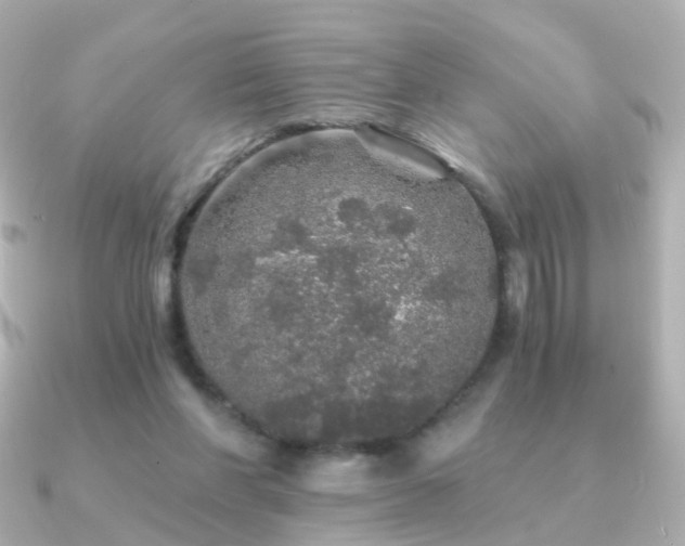 X0000091340206200708101449