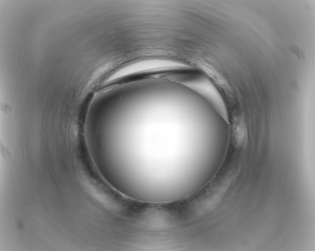 X0000091340207200708101449