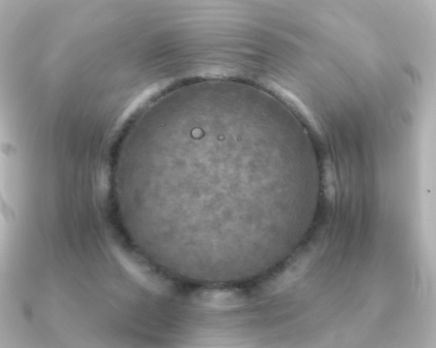 X0000091340208200708101449