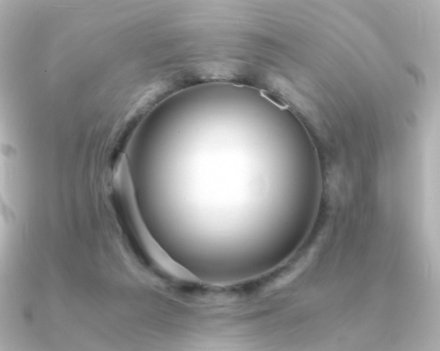 X0000091340209200708101449