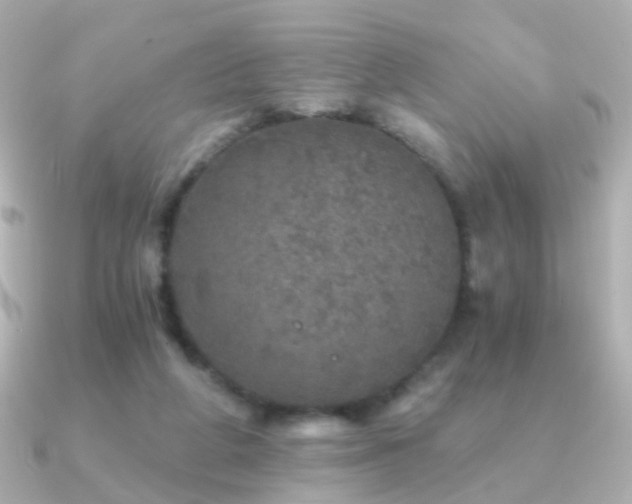 X0000091340210200708101449