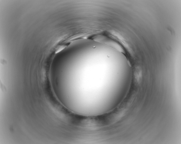 X0000091340211200708101449