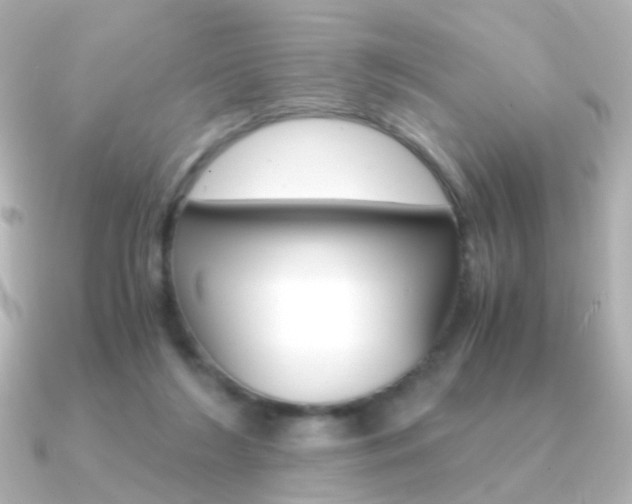 X0000091340212200708101449