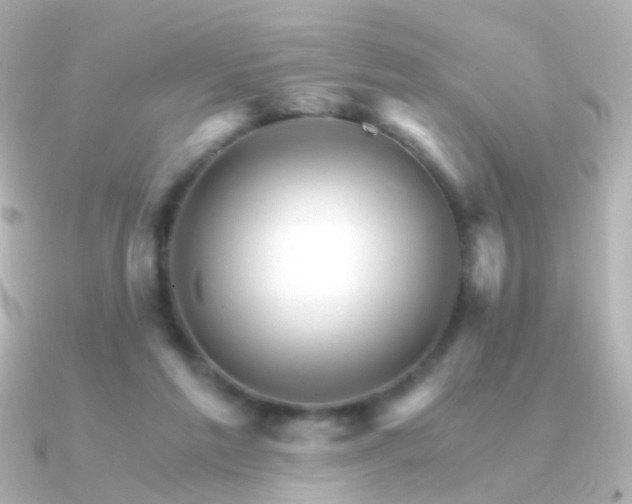X0000091340213200708101449