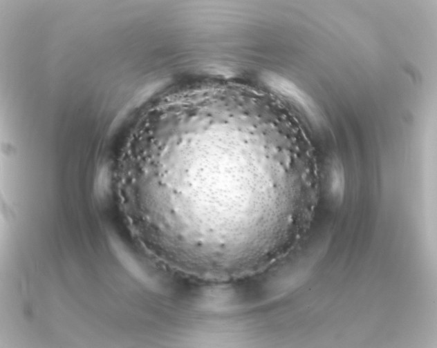 X0000091340214200708101449